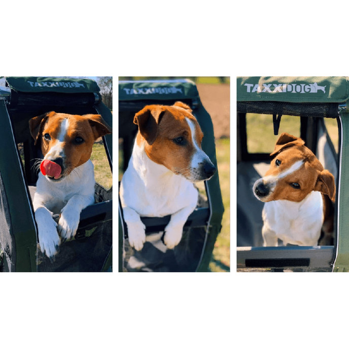 Wózek dla psa TaXXI M ciemnoszary/ciemnozielony