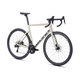 ASPHALT S1