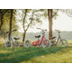 Akcesoria do roweru biegowego TRICYCLE