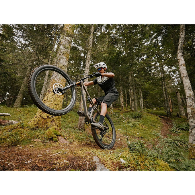 SHAMANN DC S1