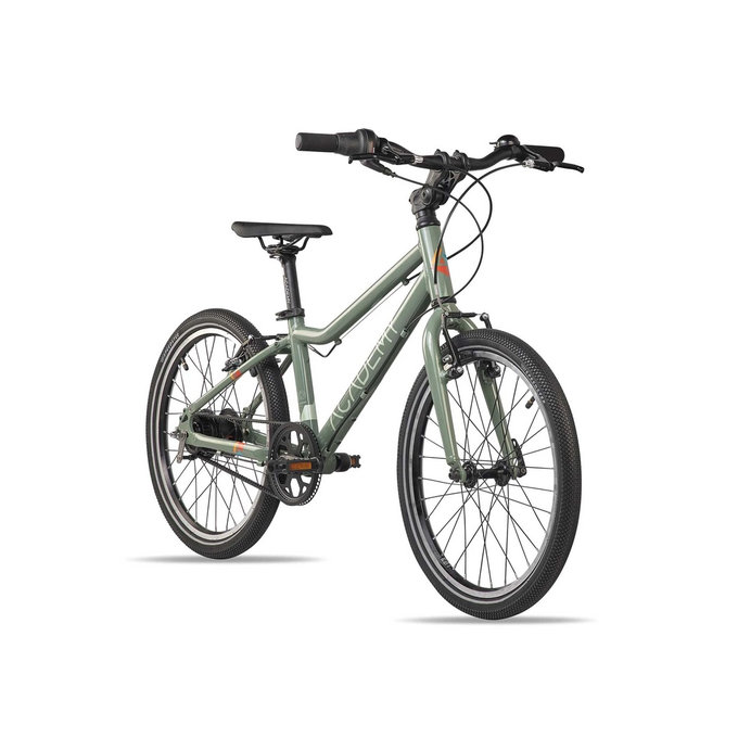 Grade 4 Belt - 20" (od 115 cm)