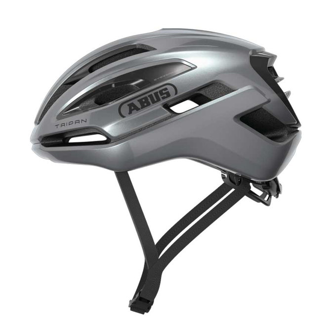 Taipan graphite silver