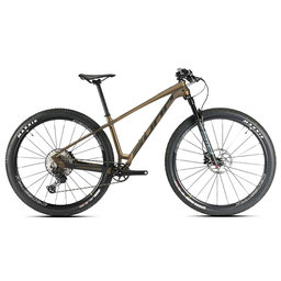 PRIM S1 2024