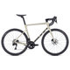 ASPHALT S1